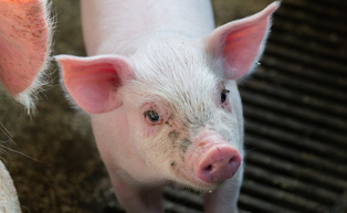 DSC01956-Enhanced-NR-2