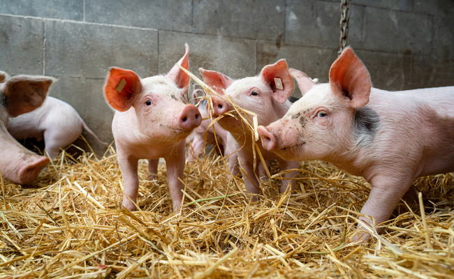 AdobeStock 299991371