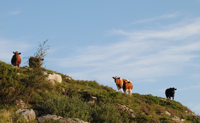 PhotoRetouch55 26 2020 085502.849000