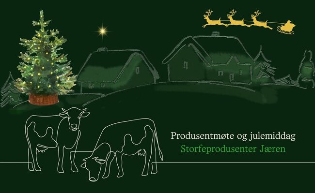 Produsentmøte-julemiddag