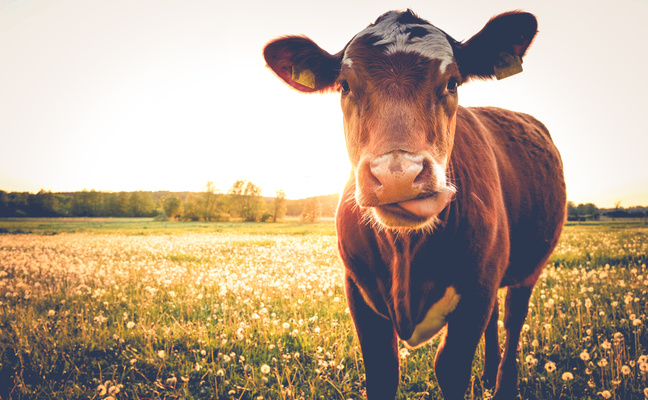 AdobeStock 112363536