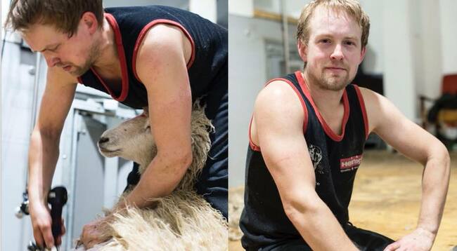 22221934 1747329531958606 5277967183532445567 n