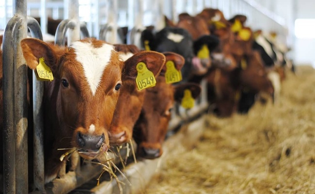 Screenshot 20230331 144312 Instagram