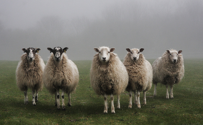 AdobeStock 226472897