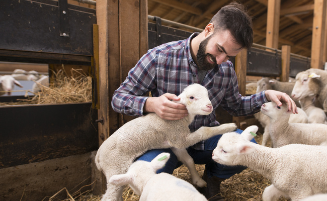 Happy farmer playing with animals at farm.