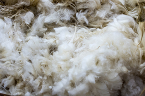 Bilder årsberetning 2016