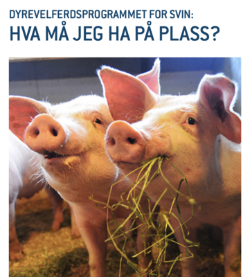 Skjermbilde 2020-12-09 kl. 08.40.54