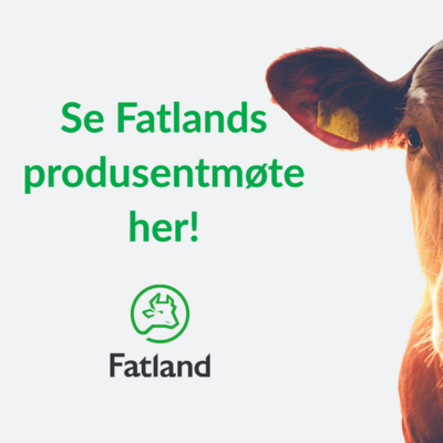 Skjermbilde 2021-02-19 kl. 08.42.16