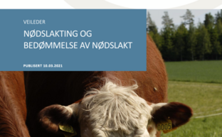 Skjermbilde 2021-04-16 kl. 13.20.51