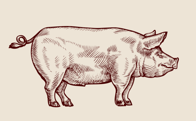 AdobeStock 109403494