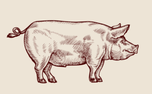 AdobeStock 109403494