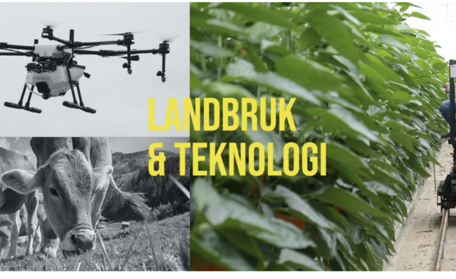 Skjermbilde 2021-09-28 kl. 13.58.29